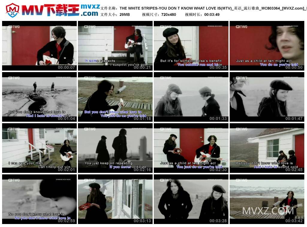 THE WHITE STRIPES-YOU DON T KNOW WHAT LOVE IS(MTV)_英语_流行歌曲_MC803364